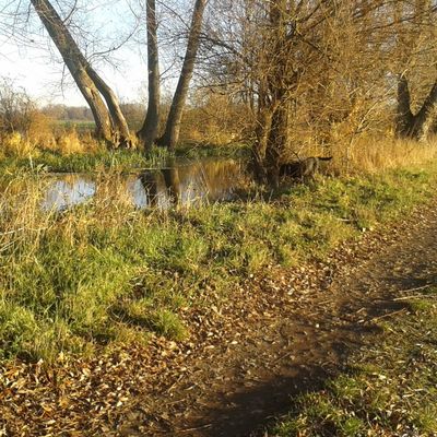 im-herbst
