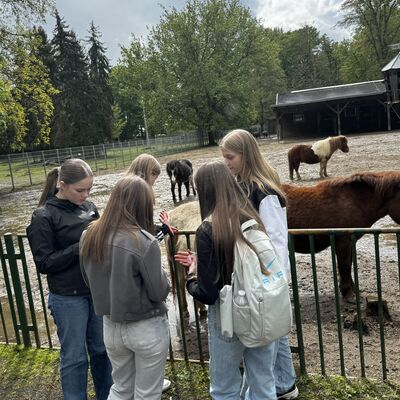 Besuch Wiesenpark zukunftstag 2024