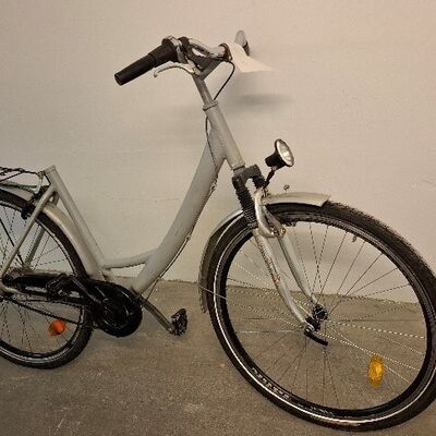 Damenrad grau 4-17-2022