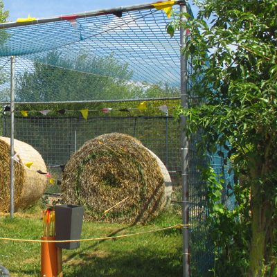 Bogenschießen im Treff